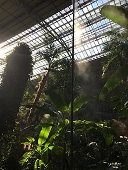 atocha avec les enfants madrid jardin tropical
