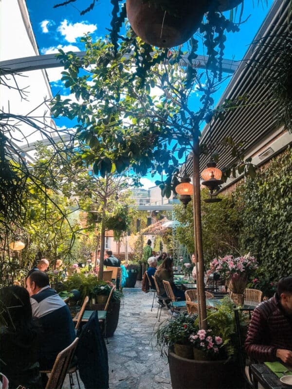 El Jardín de Salvador Bachiller