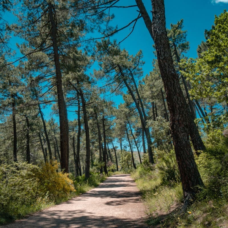 randonnées à El Escorial