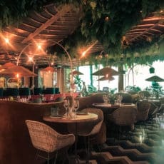 restaurant botania plaza espana madrid
