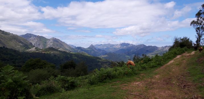 Cantabrie- Visiter les Asturies