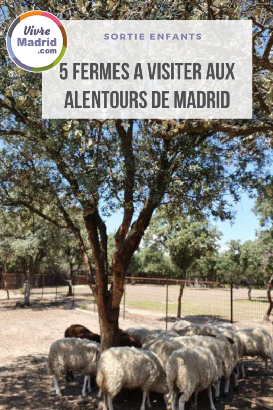 5 fermes autour de Madrid à visiter avec les enfants
