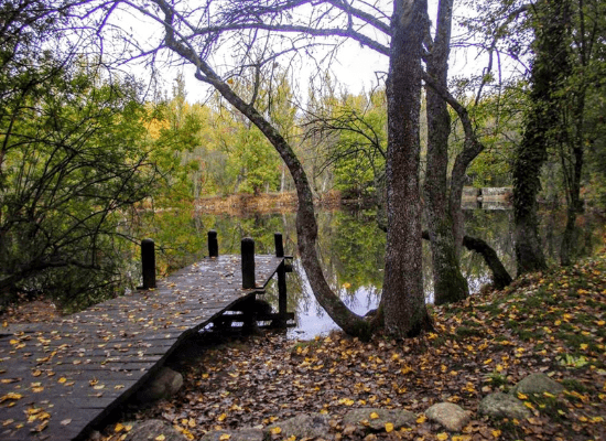 automne autour Madrid