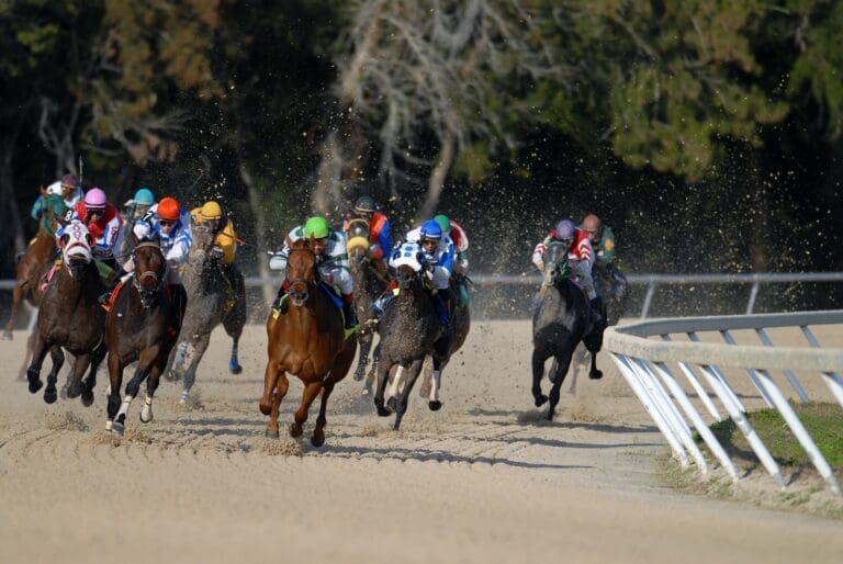 Sortie à l'hippodrome de Madrid