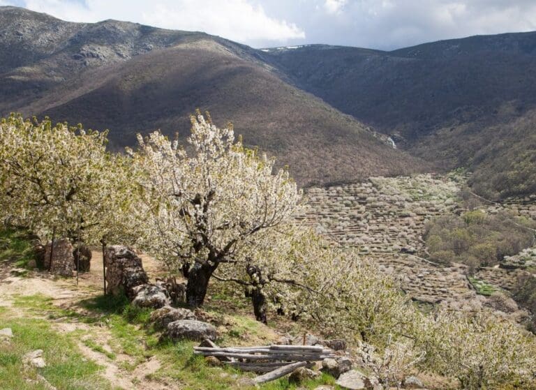 que voir en Extremadura