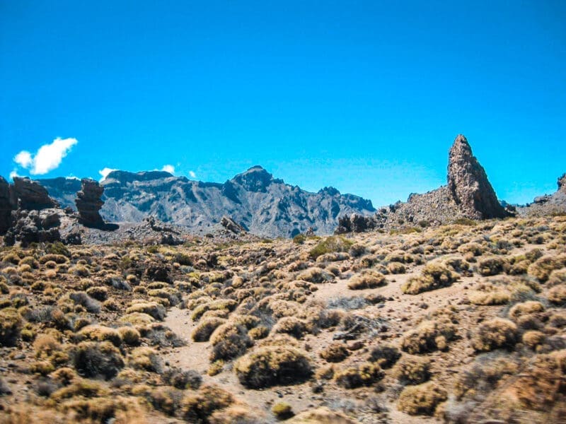 que faire à Ténérife - incontournables à Tenerife