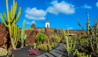 lanzarote