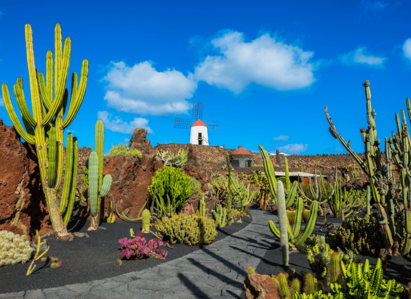 Que faire à Lanzarote en 1 semaine ?