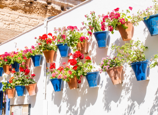 vister Cordoue pendant la fêtes des patios