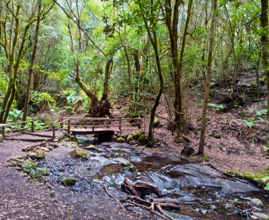 Visiter la Gomera