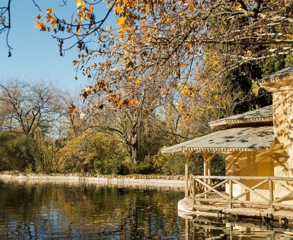 parque del capricho madrid en automne