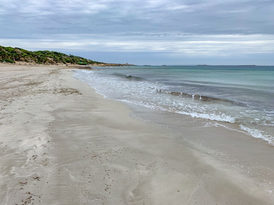 les plus belles plages ibiza playas salinas