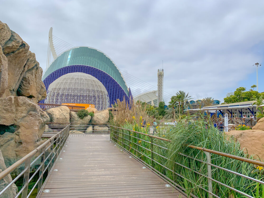 aquarium de Valencia cité des arts et des sciences