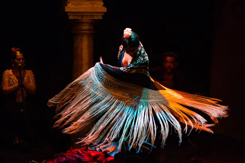 spectacle de flamenco Séville