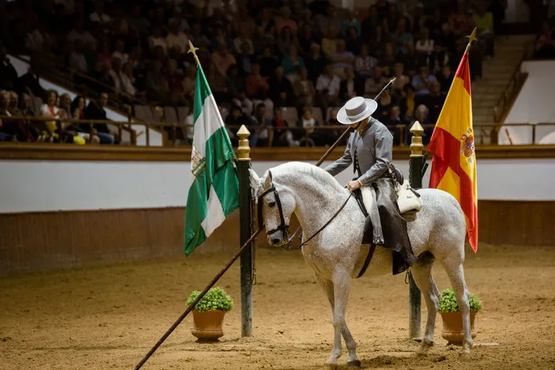 espectaculo-real-escuela-andaluza-arte-ecuestre.jpg