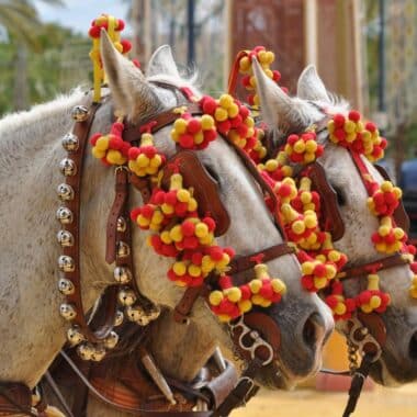 feria de caballo Jerez de la Frontera
