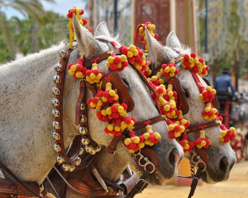 feria de caballo Jerez de la Frontera