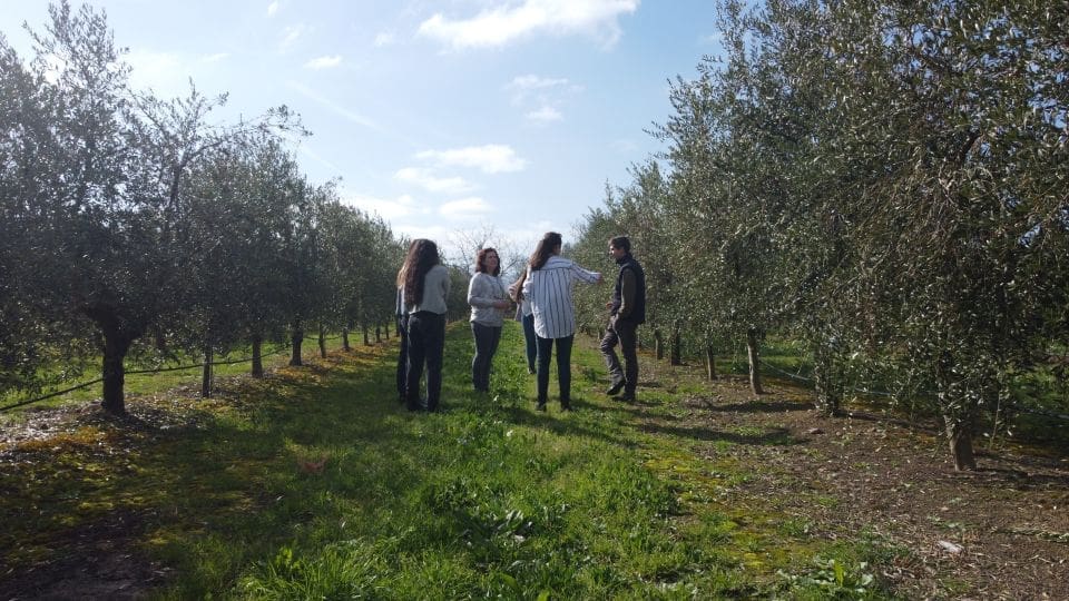 visite oliverais la rioja GYG