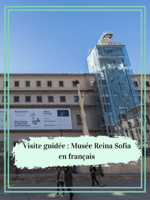 Visite guidée Musée Reina Sofia en français