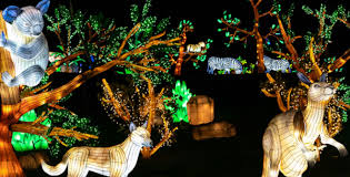 BRILLA Madrid : le zoo lumineux à ne pas manquer 