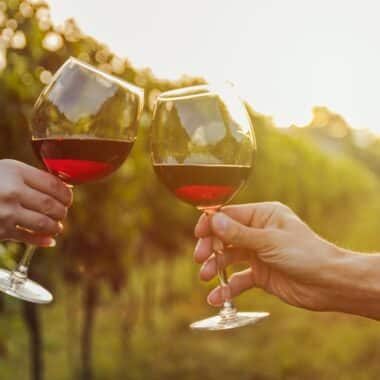 dégustation vin vignobles à madrid