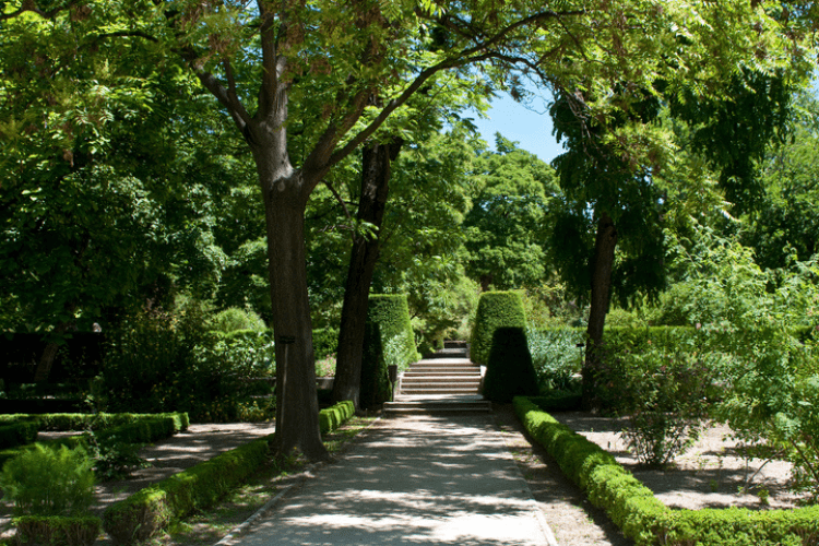 Les plus beaux parcs de Madrid - Real Jardín Botánico