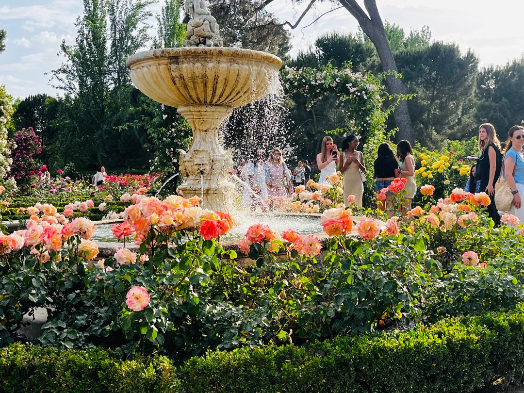 Roseraie du Parc de Retiro
