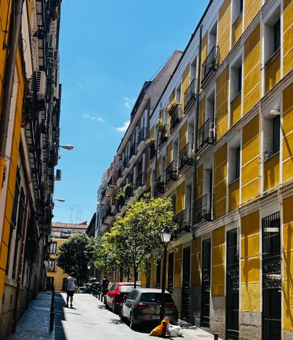 Calle de Malasana