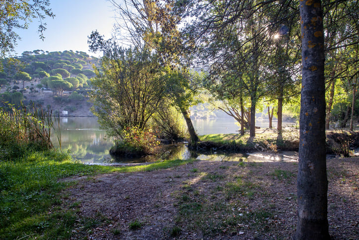 Embalse de Picadas