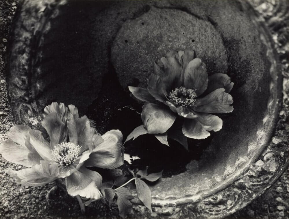 Expo Minor White à la Fundación MAPFRE