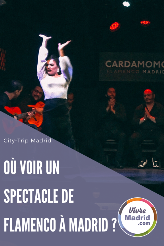 ou voir un spectacle de flamenco à Madrid